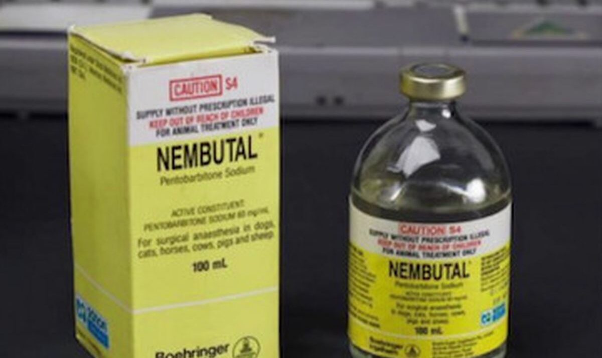 Nembutal Pentobarbital for sale online with secure delivery
