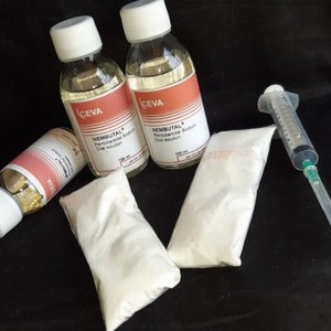 Var man kan beställa Nembutal online